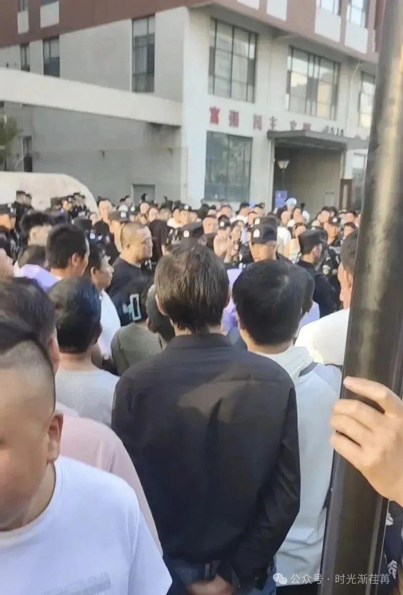 “爆雷！树拍易购鑫慷嘉连环炸，数字外衣下的庞氏骗局让百万家庭‘钱梦破碎’”​