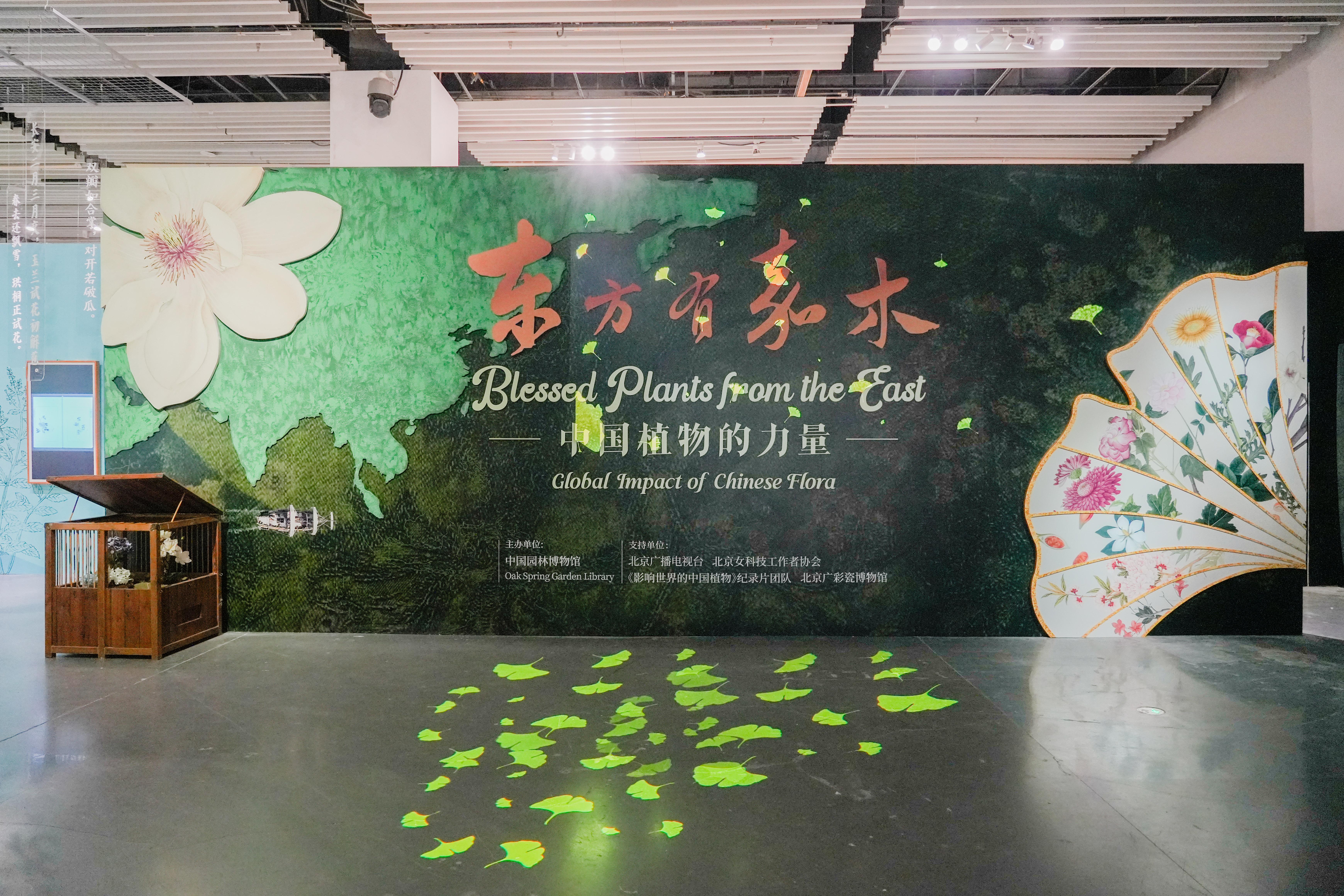 “东方有嘉木”大展在中国园林博物馆开展，见证中国植物改变世界园林