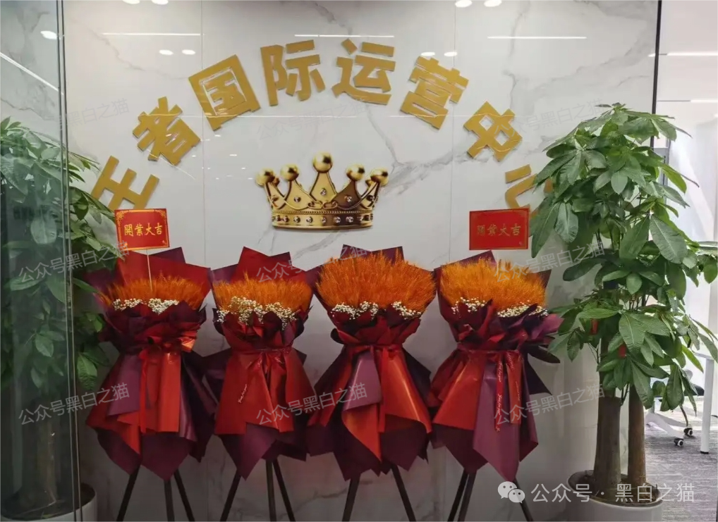 【东南财富】资金盘骗局，账面入不敷出，参与人赶紧撤退下车......