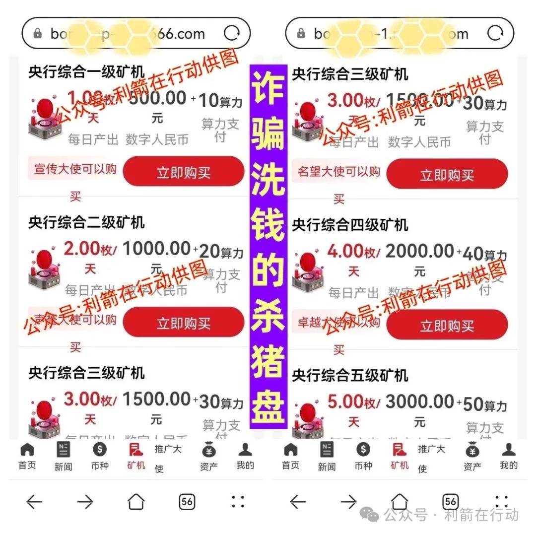 警惕！虚构 “中国稳定币” APP 实为诈骗洗钱 “杀猪盘”，套路揭秘！