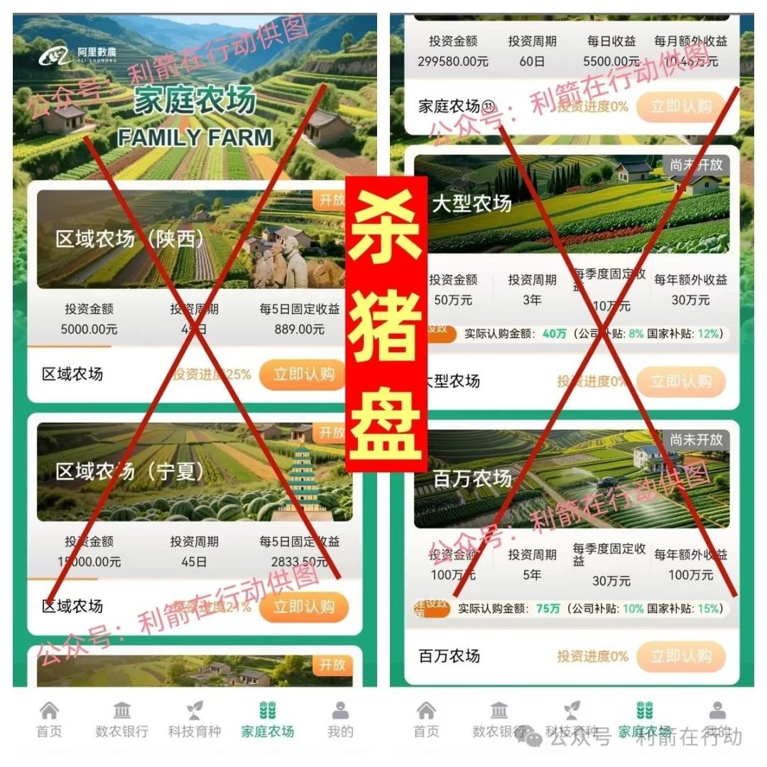 警惕！“阿里数农” APP 实为假冒诈骗平台，杀猪盘套路深度揭秘