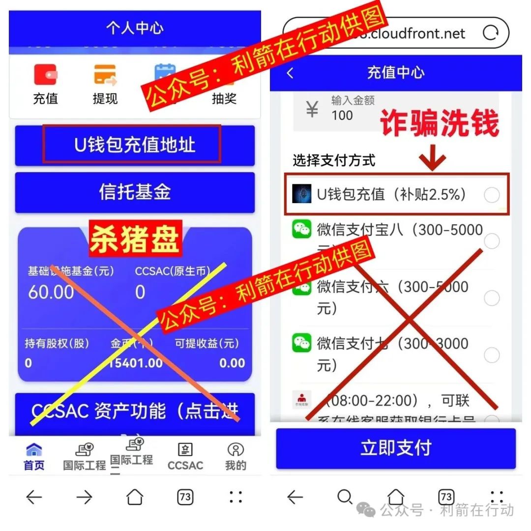 警惕！“金砖国际工程” 与 “超级工程”，官方已亮红牌的杀猪盘！