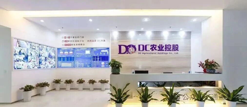 【DC农业】爆雷揭秘：从“农业500强”到人去楼空的真相！