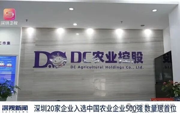 【DC农业】爆雷揭秘：从“农业500强”到人去楼空的真相！