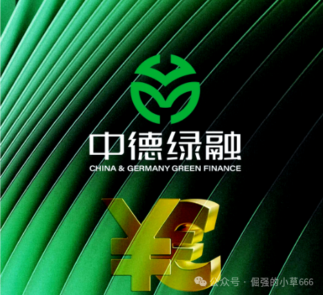 一年积攒的泡沫，一朝崩盘！“中德绿融”突现离谱产品，这是要清仓跑路？