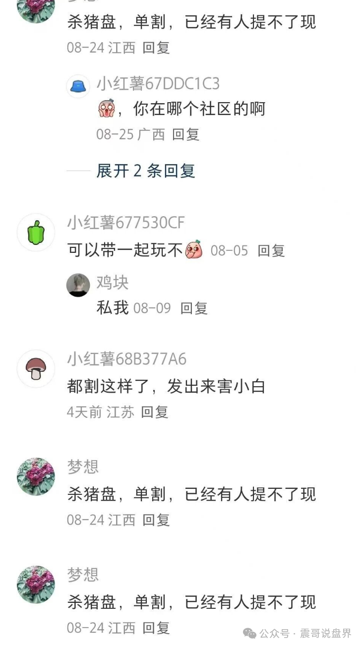 【睿盛环球（Golden Link）】资金盘骗局被政府通报，单割会员，高度预警！