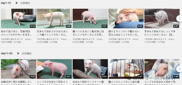 多地官方预警奥拉丁涉嫌诈骗！【奥拉丁Origin】软跑路，不要成为下一个受害者！