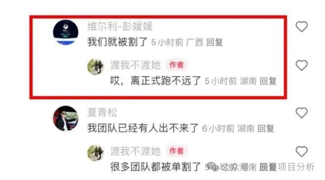 【香港维尔利】资金盘已经开始大量单割，不拉人也会被单割！