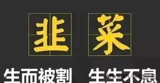 10月底最新整理8个崩盘跑路【启明创投，全球供应链，超脑智算，方舟之境，永恒协议，博发传媒】