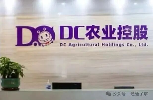 【DC农业】崩盘背后的警示，从明星企业到百亿骗局！