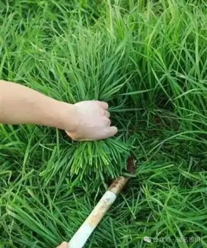 【AKAS阿卡斯】骗局曝光：区块链外衣下的传销陷阱，高危预警！