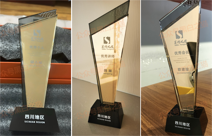 资金盘｜【赛搏资本/恒富证券】钓鱼式打劫，盘总肉身在外不惧负面，国内工作室何去何从......