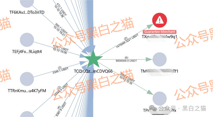资金盘｜“创科”项目伪造政府文件，工作室非法吸金，资金流向曝光......
