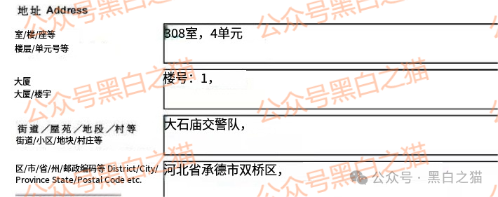 资金盘｜“创科”项目伪造政府文件，工作室非法吸金，资金流向曝光......