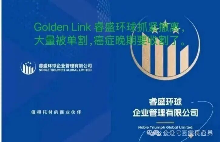 【睿盛环球Golden Link】资金盘骗局即将崩盘，大量单割，抓紧撤离！