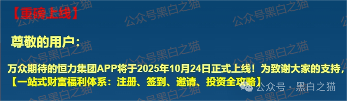 短命“恒力集团”返利快杀盘花样频出，参与人小心盘总一夜消失......