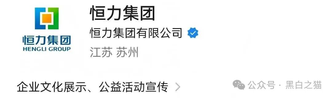 短命“恒力集团”返利快杀盘花样频出，参与人小心盘总一夜消失......