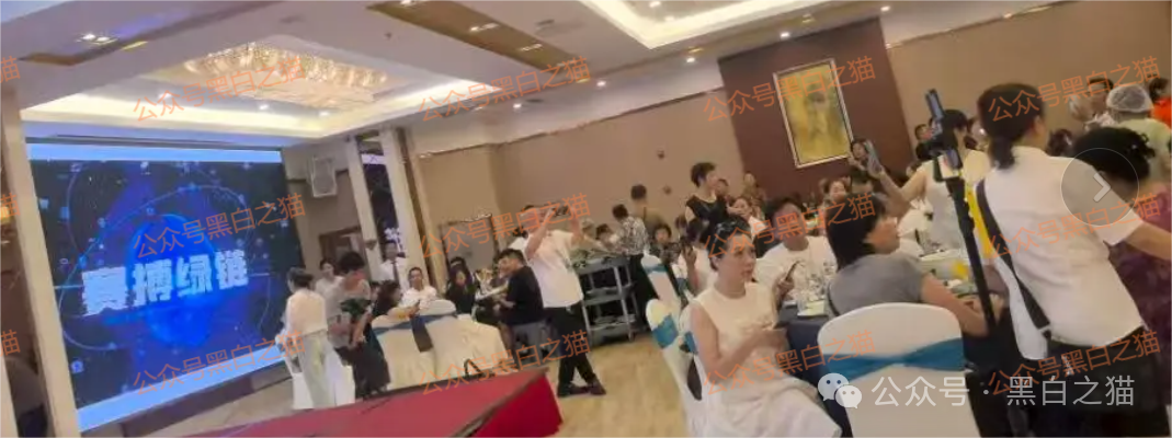 【赛搏资本/恒富证券】钓鱼式打劫，盘总肉身在外不惧负面，国内工作室何去何从.....